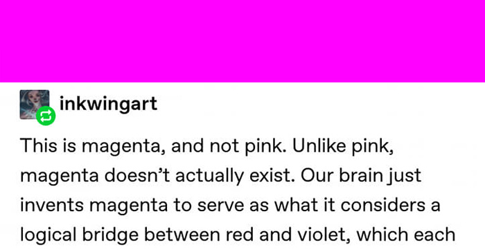 Magenta: The Color That Doesn't Exist And Why
