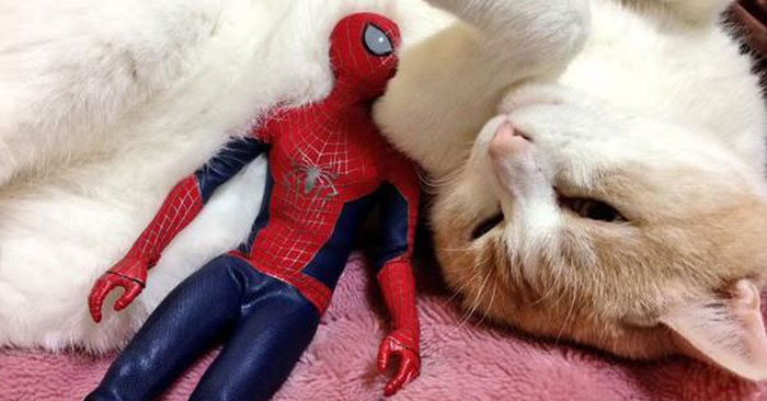 Spider-Man Cuddling with Kitties - Media Chomp