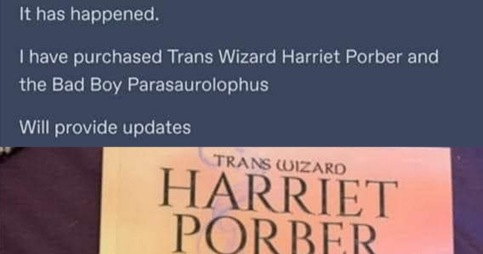 Trans Wizard Harriet Porber And The Bad Boy Parasaurolophus